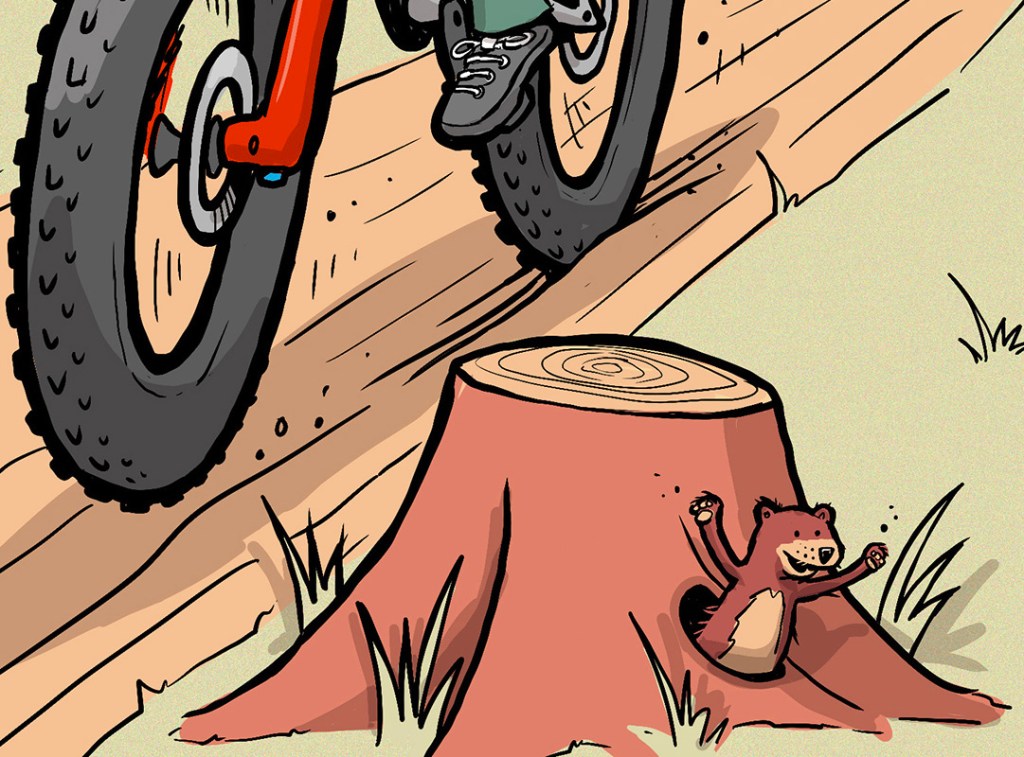 Drawings for PinkBike